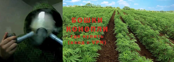 гидропоника Бородино